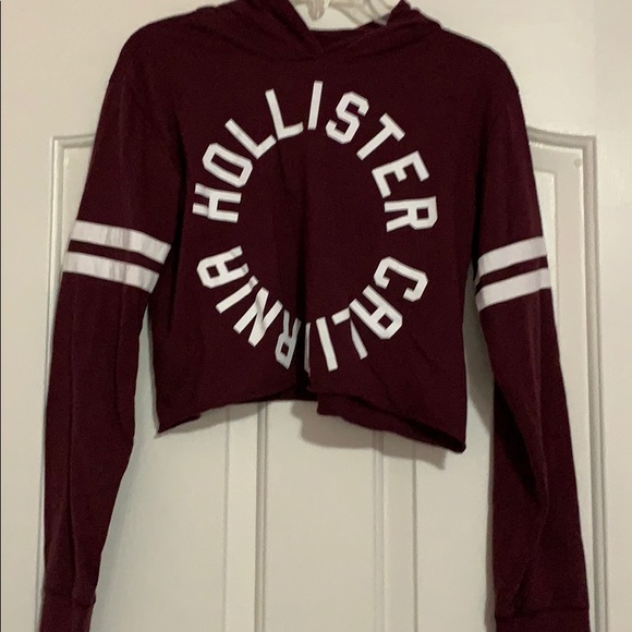 hooded t shirt hollister